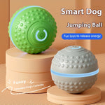 Automatic Bouncing Ball Dog Toy – USB Rechargeable Interactive Play Ball
