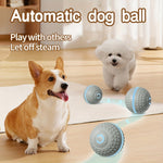 Automatic Bouncing Ball Dog Toy – USB Rechargeable Interactive Play Ball