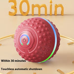 Automatic Bouncing Ball Dog Toy – USB Rechargeable Interactive Play Ball