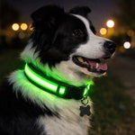 Adjustable Luminous Dog Collar – Glow-in-the-Dark Night Safety
