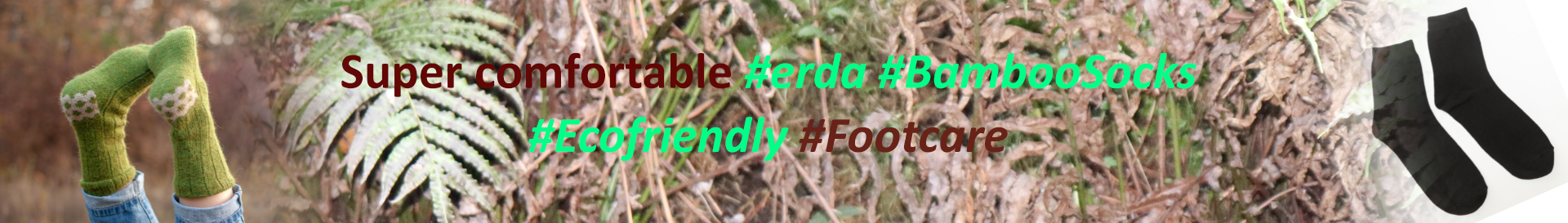 erda.co.nz