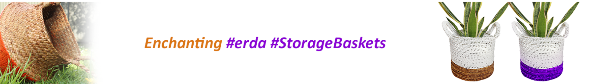 erda.co.nz