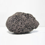 Pumice stone - [Coarse]