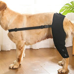 Dog Leg Support Brace Injurie Leg Knee Joint Bandage Wrap Protection Support Rear Knee Pads Straps Dogs Medical Supplies