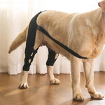 Dog Leg Support Brace Injurie Leg Knee Joint Bandage Wrap Protection Support Rear Knee Pads Straps Dogs Medical Supplies