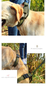 Durable Tactical Dog Collar Leash Pet Bungee Leash Durable Nylon Pet Training Collars With Handle Large Dogs French Bulldog