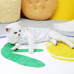 Kitten Onesies Cat Recovery Suit for Abdominal Wounds or Skin Diseases After Surgery Wear E-Collar Alternative for Cats and Dogs