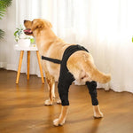 Dog Leg Support Brace Injurie Leg Knee Joint Bandage Wrap Protection Support Rear Knee Pads Straps Dogs Medical Supplies