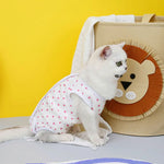 Kitten Onesies Cat Recovery Suit for Abdominal Wounds or Skin Diseases After Surgery Wear E-Collar Alternative for Cats and Dogs