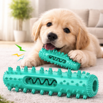 Durable Dog Toothbrush Molar Stick – Teeth Cleaning Chew Toy