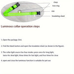 Adjustable Luminous Dog Collar – Glow-in-the-Dark Night Safety