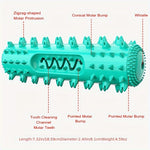 Durable Dog Toothbrush Molar Stick – Teeth Cleaning Chew Toy