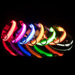 Adjustable Luminous Dog Collar – Glow-in-the-Dark Night Safety