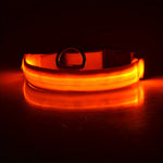 Adjustable Luminous Dog Collar – Glow-in-the-Dark Night Safety