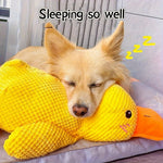 SweetS Large Dog Chew Toy – Heavy-Duty Plush Duck with Squeaker for All Breeds