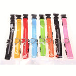 Adjustable Luminous Dog Collar – Glow-in-the-Dark Night Safety