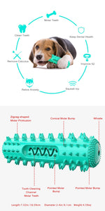 Durable Dog Toothbrush Molar Stick – Teeth Cleaning Chew Toy