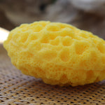 Natural Sunflower (Unisex) Bath Loofah