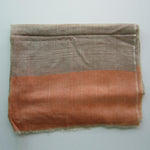 Pashmina - Fawn with Orange Border Stole